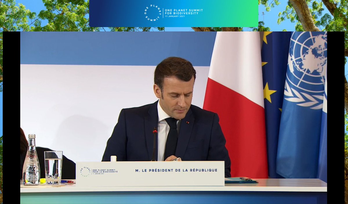 Clara Prip tweet media