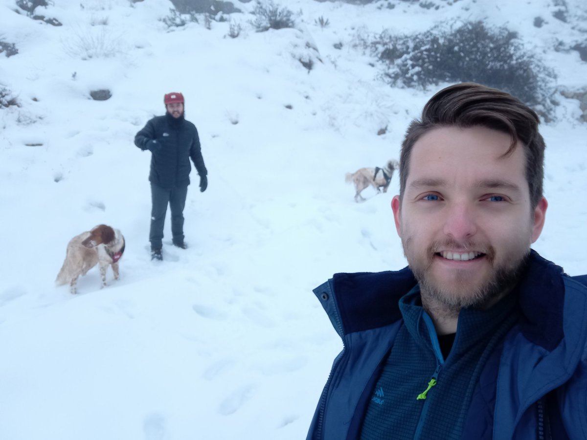 Mr_tachen's tweet photo. @Gonzu9 #Nala #Luke #SetterInglés https://t.co/nbXE10neEq