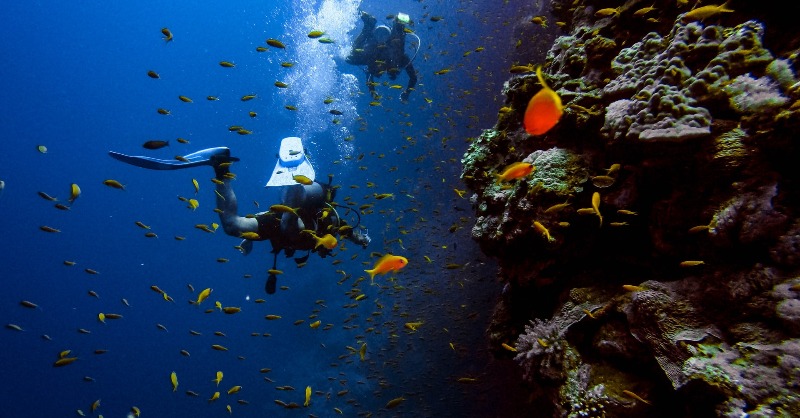 simplyscuba's tweet photo. All neoprene is the same right? Just some are thicker than others? Nope... The formula for modern neoprene has been tinkered and tweaked by so many manufacturers today and not all neoprene is made the same.
Read - https://t.co/tcMl6srAcV
#scubablog #scubadiving #neoprene #scuba