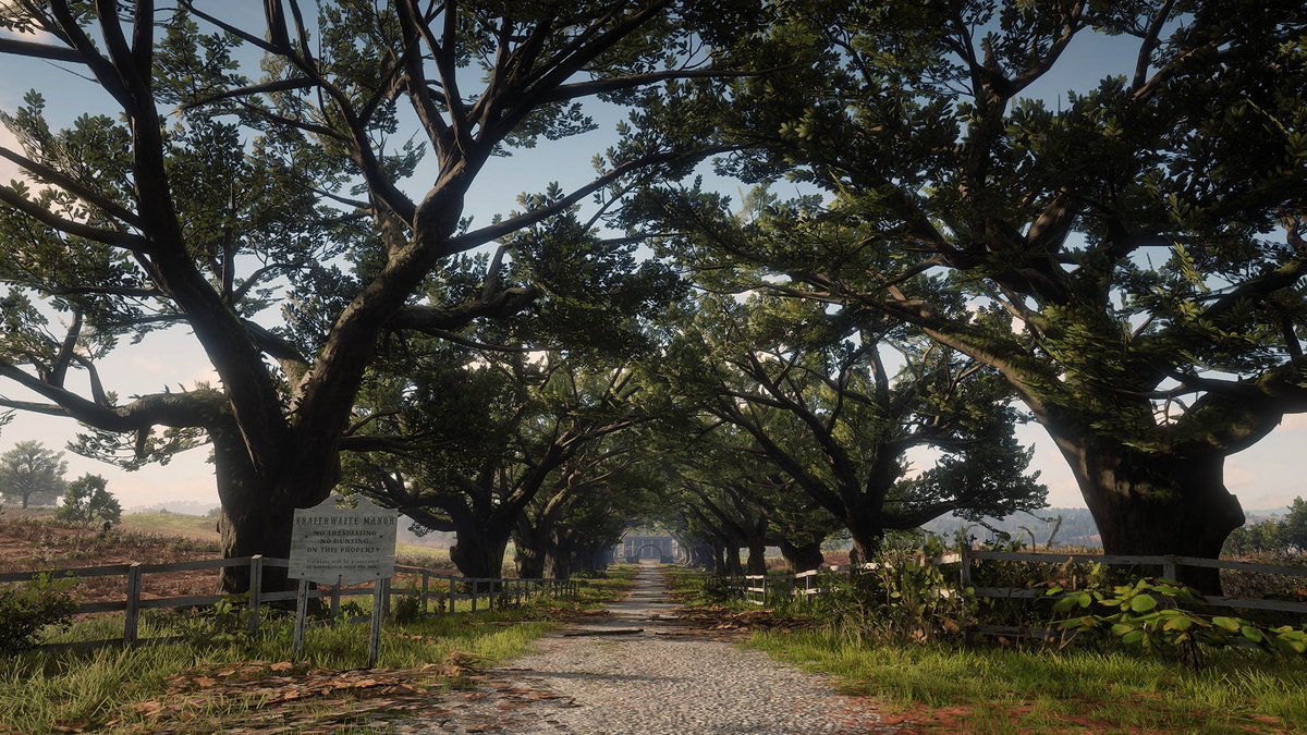 im_faisaI's tweet photo. #RedDeadRedemption2 https://t.co/Jc8P4aNU9U