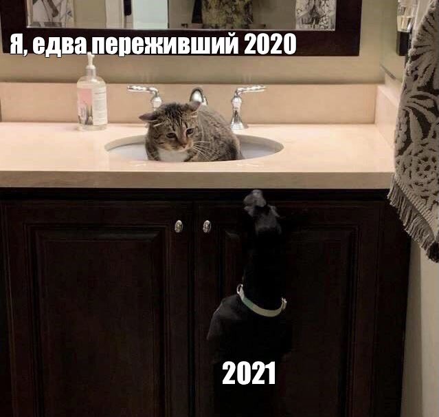 Плоткина on Twitter: "когда во всех новостях читаешь о VUI-202012/01 ...