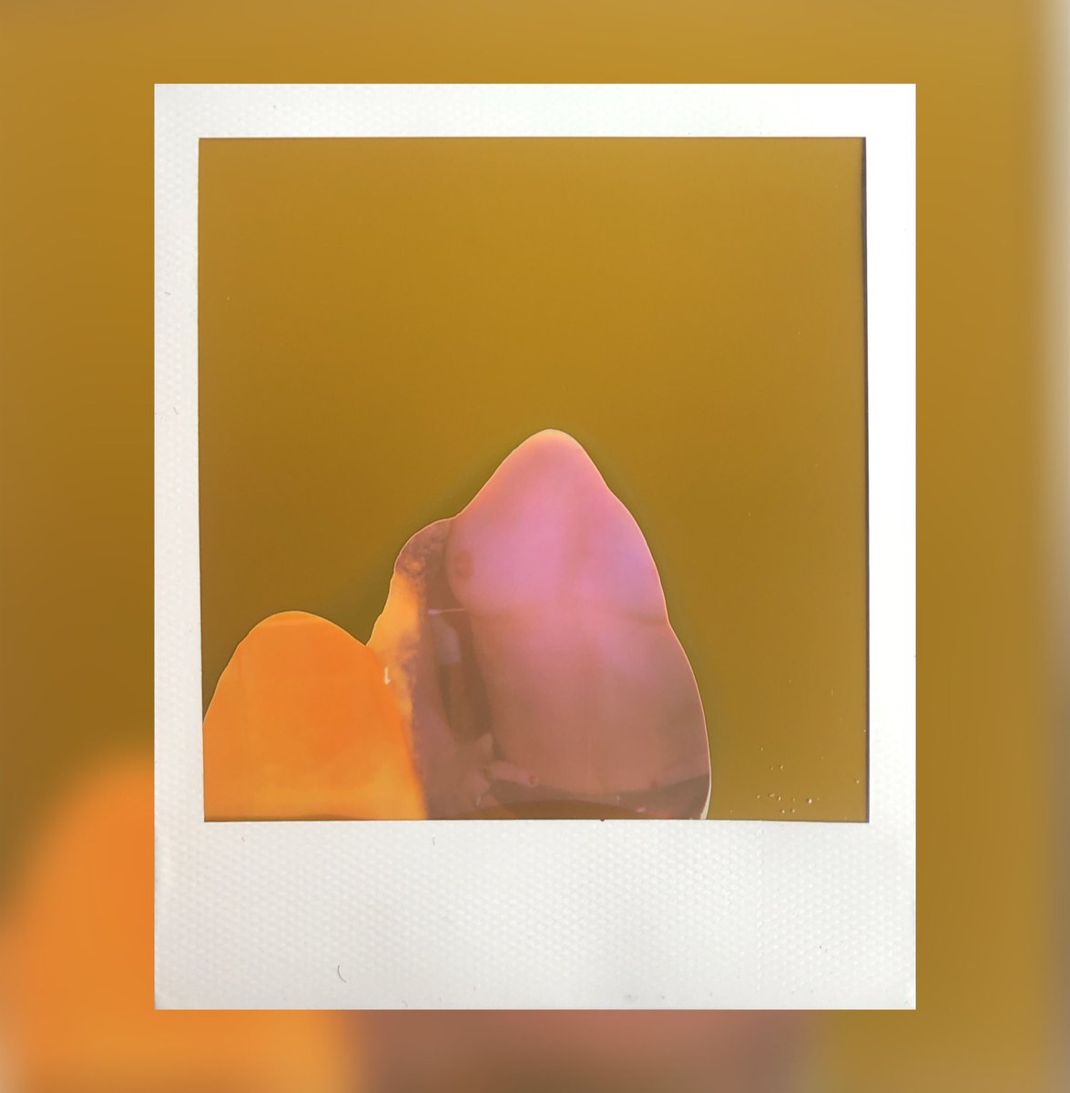 unknwn35mm's tweet photo. Fuck instagram #polaroid #color600film #expiredfilm #polaroidoriginals #polaroidimpulseaf https://t.co/QAEkRDR9K3