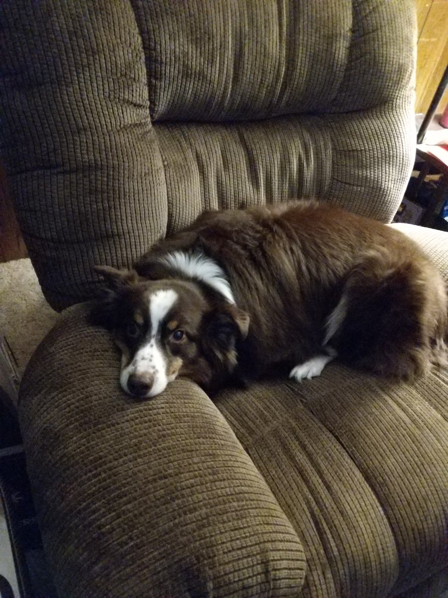 AussieDocthe's tweet photo. Anyone else take your mom or dads chair when they aren't in the room??

I take my dad's 😊 https://t.co/Hon1sxyJz3
