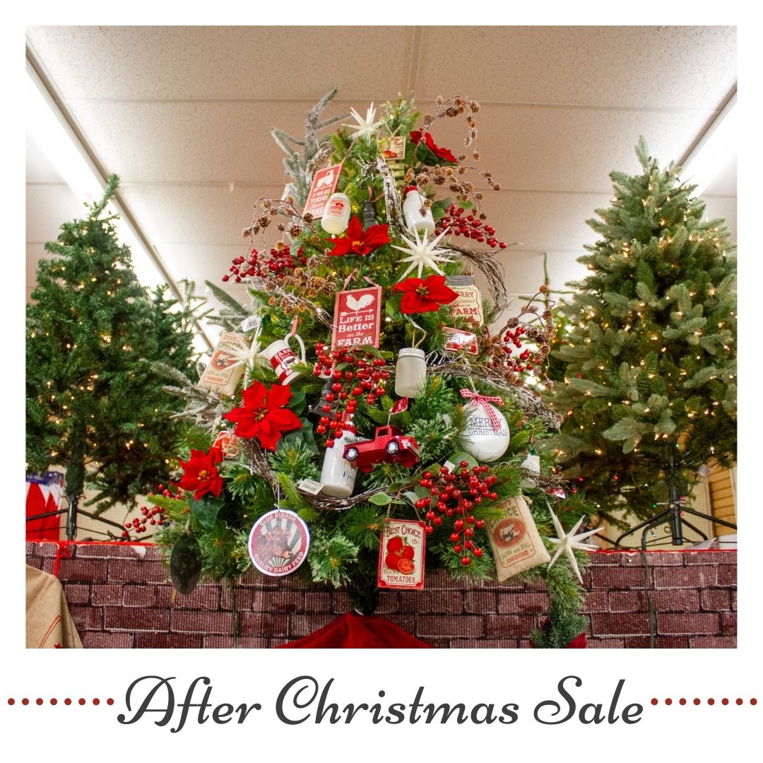 DavesXmas's tweet photo. We have a little gift for you! Save 50% off selection Christmas decorations &amp; 70% off select novelty ornaments 🎄 https://t.co/gJJcM0i9Jw