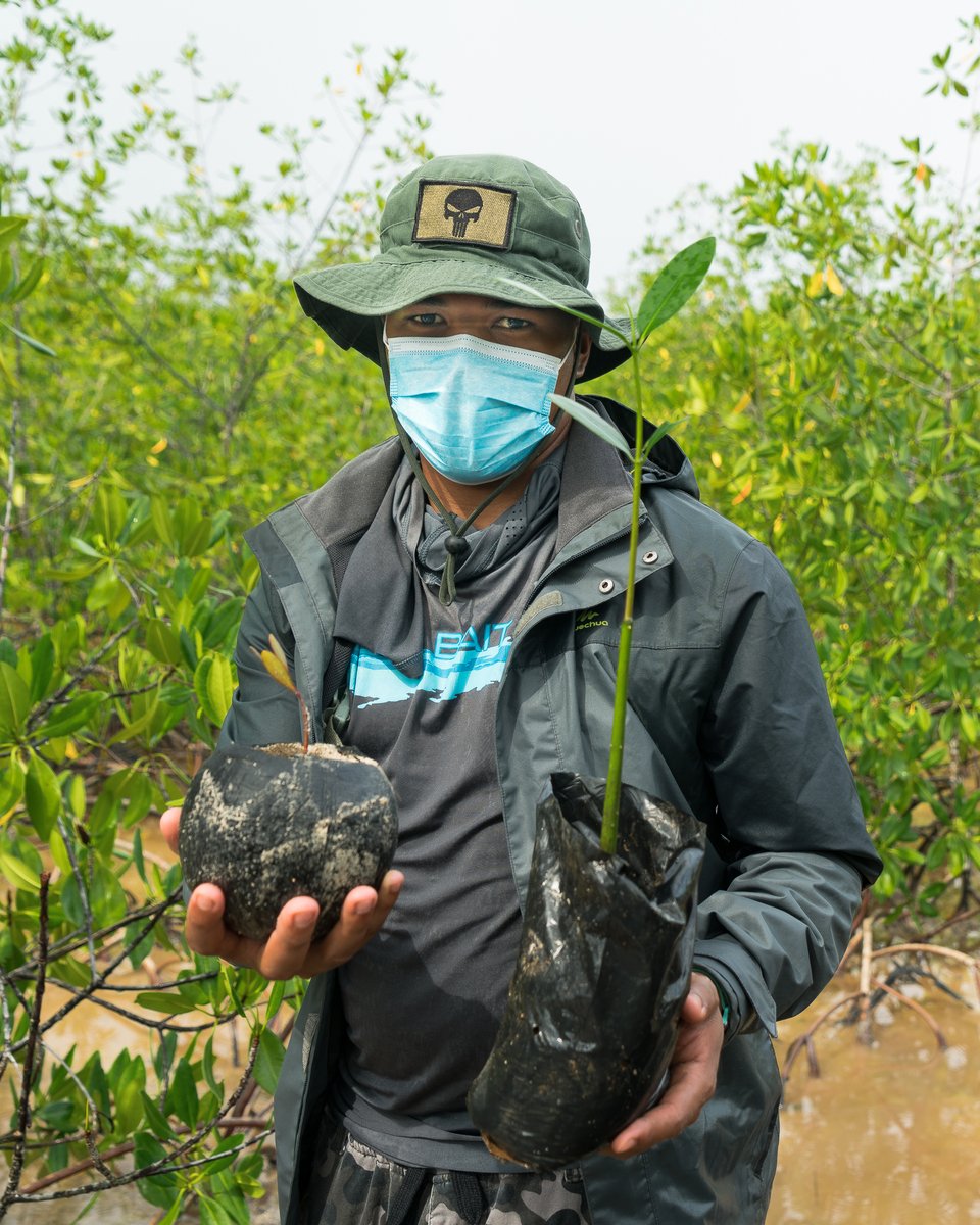 grupojaragua's tweet photo. Les presentamos a Aurelio y a Samy, dos colaboradores de #CEBSE que, desde hace varios años han estado involucrados en proyectos de conservación y restauración de manglares de la Bahía de #Samaná. 🌱
Les agradecemos por ser #GuardianesDelManglar. 🧡
@seacology
📷 : @arieldemar https://t.co/xN4MFDo4sH