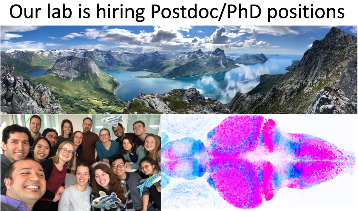 Emre Yaksi tweet media