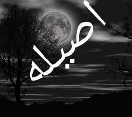 Khw945's tweet photo. مِثل القمر دايم تتغير وصوفه
مَرّه قمر ومَره بدر ومَره هِلال 🌙 https://t.co/2RPJJrmW90