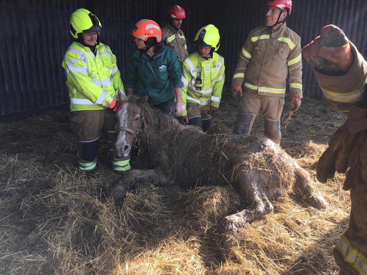 Really productive meeting with <a href="/bartarescue/">BARTA</a>. Looking at ways in which we can improve interoperability. Working with such professional voices, will enhance our ability to further manage risk, that we face when responding to Incidents Involving Animals. #collaboration