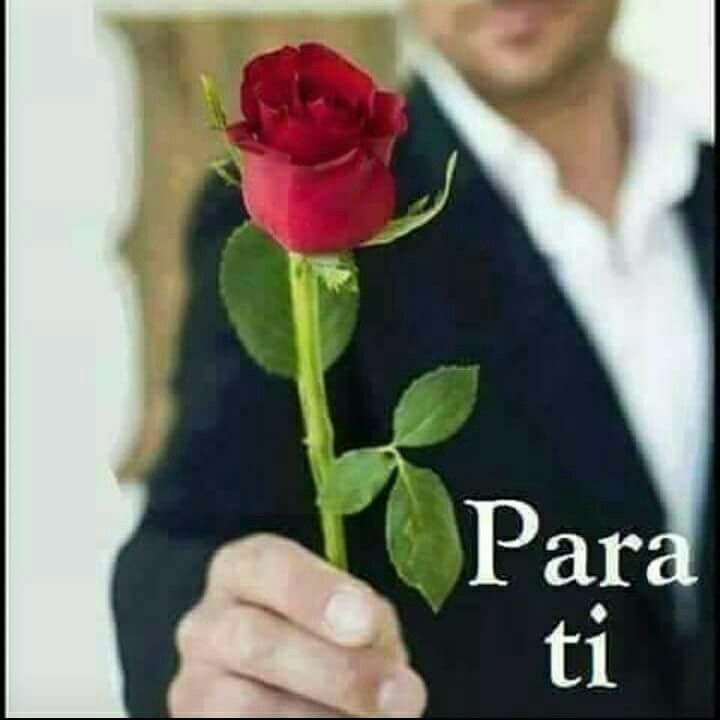 Roberto Arenales tweet media