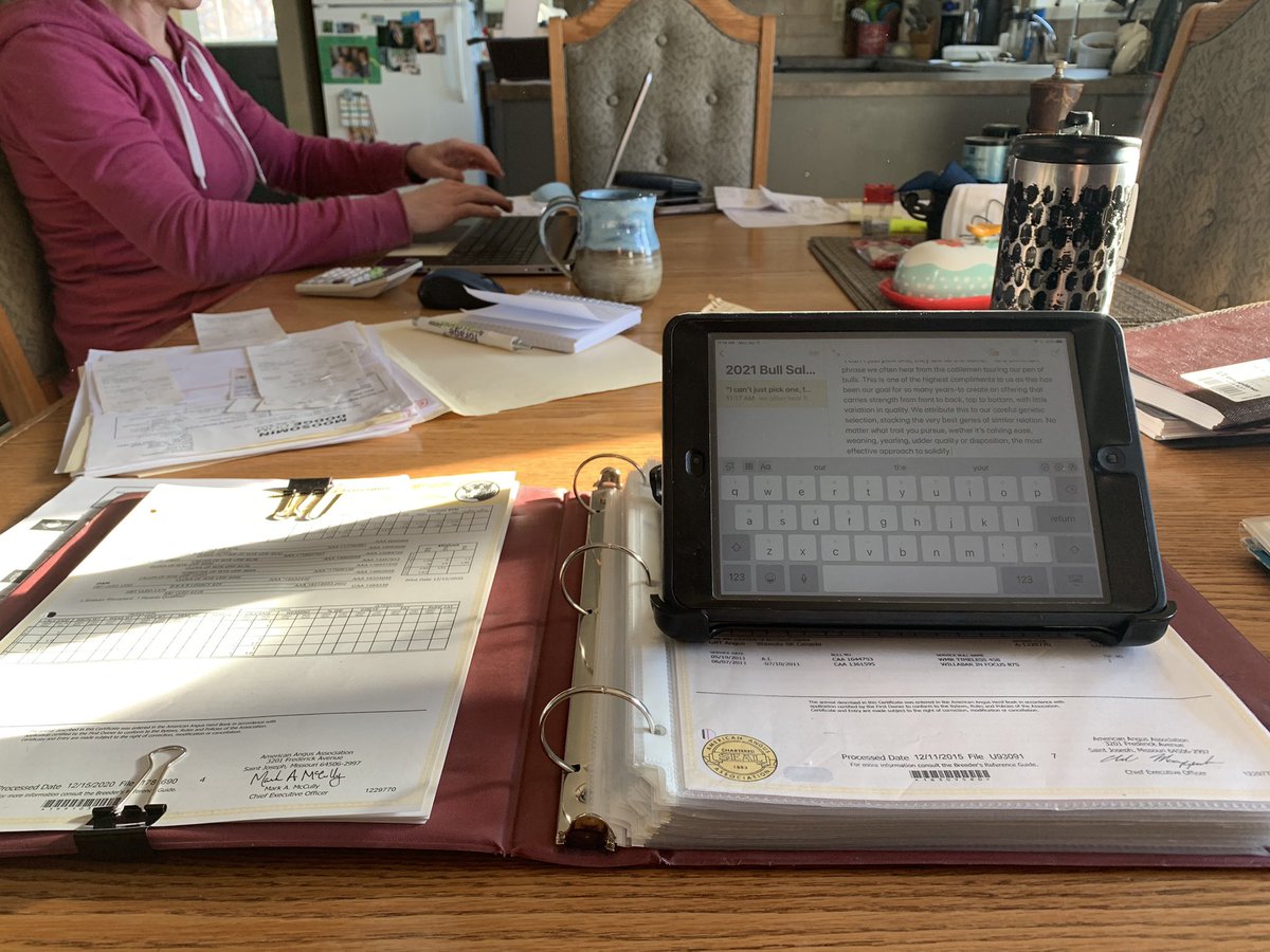 gbtangus's tweet photo. Common scene around here, this time of year. Piles o paperwork with books😖 and all things cattle records📚 🤪. #cattlerecords #books #justranching #winterinsaskatchewan #registeredangus https://t.co/9NssToNOIT