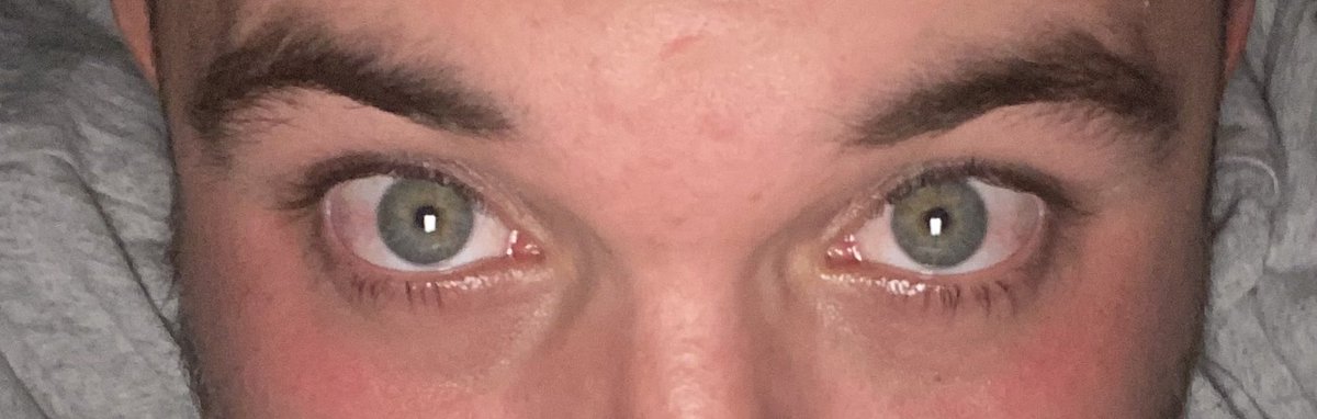 lschuetz95 tweet media