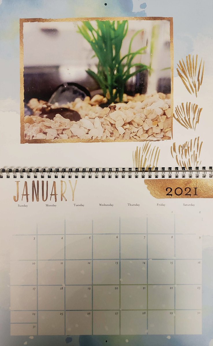 We are still hopeful that 2021 will be a better year than 2020! Manifesting our hopes with our new octopus calendars!! 🐙 📅