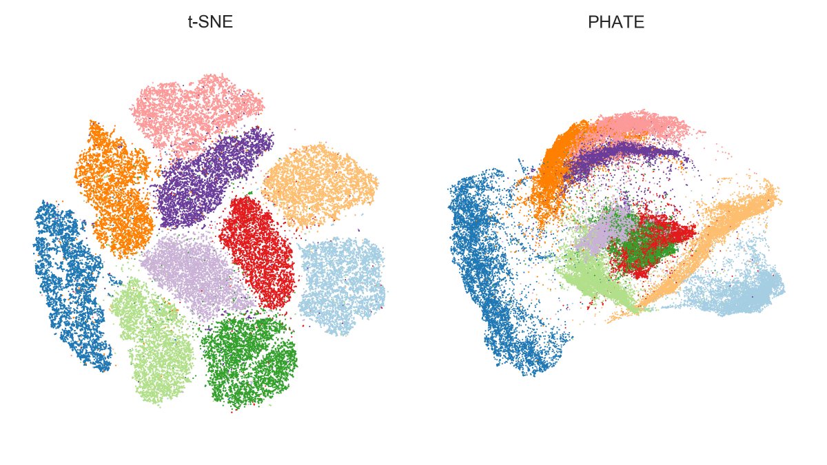 Here is MNIST.PHATE finds the same 4/7/9 and 8/5/3 mega-clusters that are also emphasized by UMAP, but fails to separate some of the digits within mega-clusters, e.g. green & red (3 and 5) overlap a lot.IMHO that's a clearly worse performance than t-SNE or UMAP. [2/7]