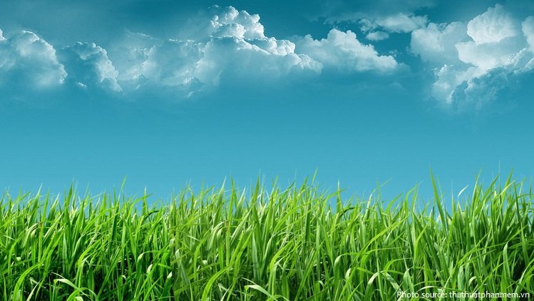 Here lies my experience and live tweets while going outside and trying to touch some gr*ss. (A Thread) This idea was inspired by the midgets A.M and Helios. Note that this is will be done at Nightime so expect.... nothing