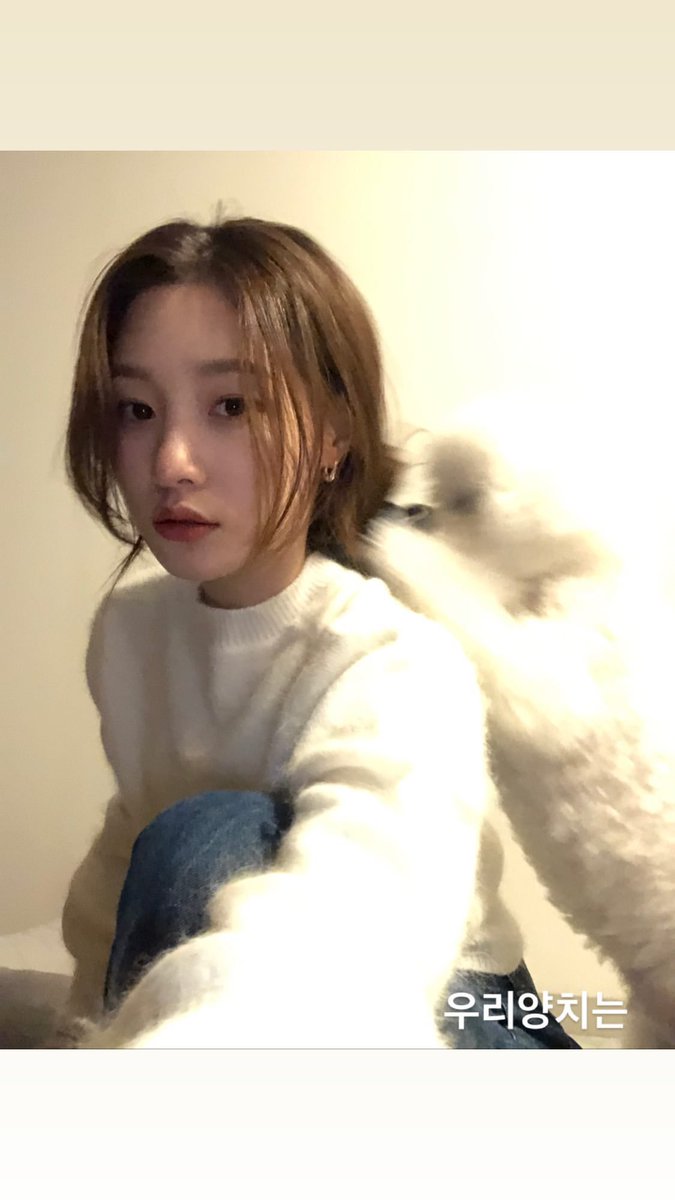 jumchaeyeon's tweet photo. maybe some of you already forgot about me but.. hi.. i guess? this is ya girl, the only jumchaeyeon is now here greeting you again. i hope there's one of two people who misses me like i miss everyone here. good evening, i hope your moday went good! 👻 https://t.co/2DyguMtDiI
