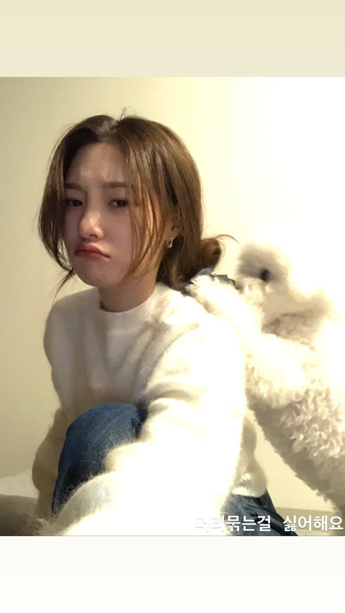 jumchaeyeon's tweet photo. maybe some of you already forgot about me but.. hi.. i guess? this is ya girl, the only jumchaeyeon is now here greeting you again. i hope there's one of two people who misses me like i miss everyone here. good evening, i hope your moday went good! 👻 https://t.co/2DyguMtDiI
