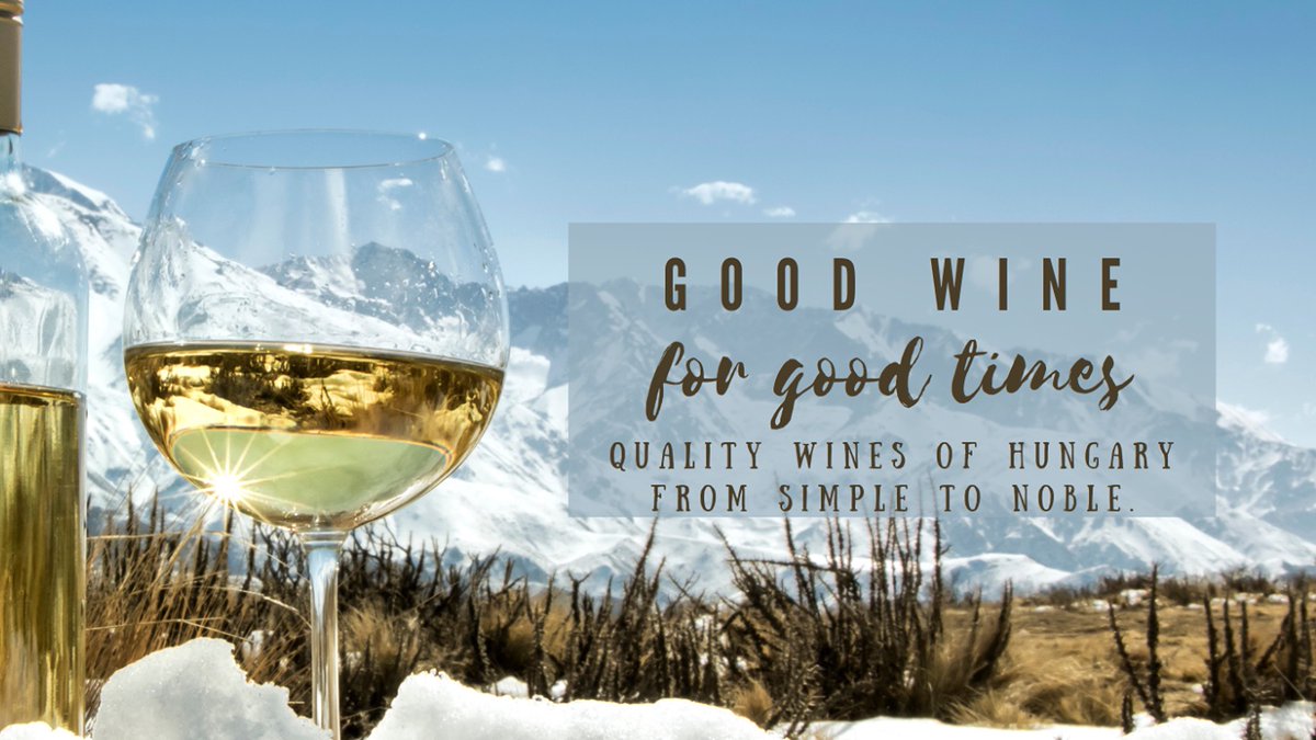 hiddenrivercafe's tweet photo. • Goodbye EU!  Hello 2021•
The UK has now "departed" the European Union. 
I grew up in a country that wasn't a part of the EU and it was not easy.
https://t.co/ZmisB15nQn
Hungarian wine is tradition, passion, humility, harmony, character and dynamism.
https://t.co/Hl7r22QoGP https://t.co/BhAkDTUC2G