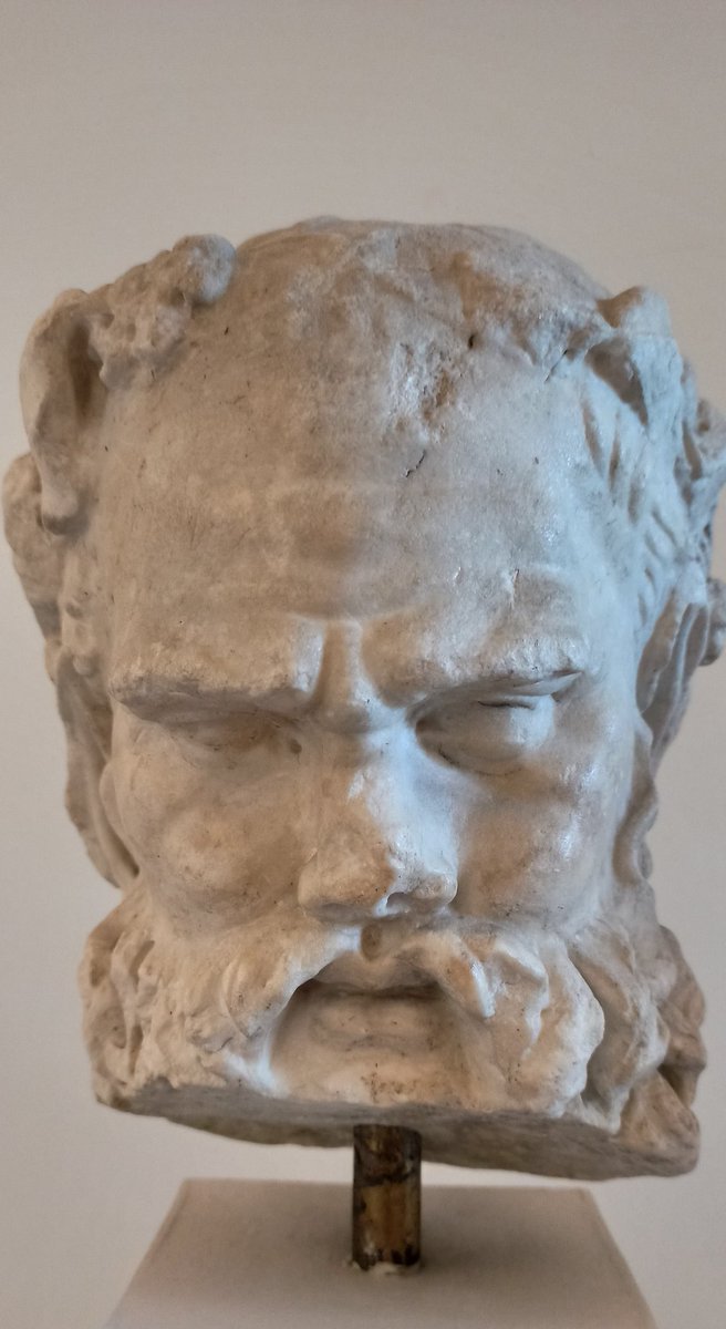 MuseoArcheoVenezia tweet media