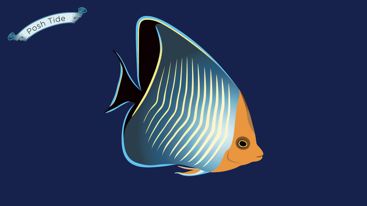 StaceyPosnett's tweet photo. Another Red Sea #SundayFishSketch a day late 😂. Thanks again for the inspiration @CoralReefFish  #PoshTide #RedSeaFish #Chaetodonlarvatus https://t.co/qFpB7pT1ep