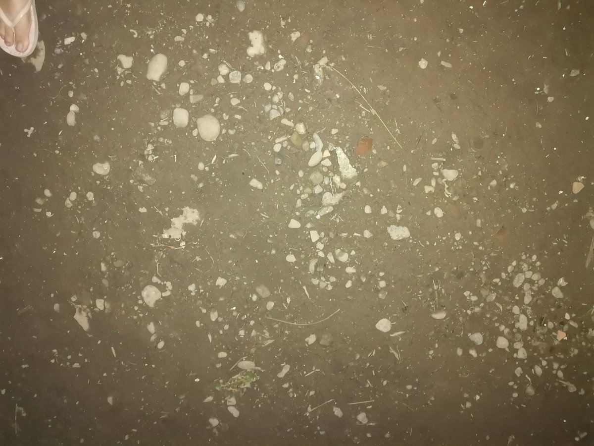 1. Just realized that our garden has no grass What would I livetweet then? Look at it? How did this happen? I swear this was not like this before.