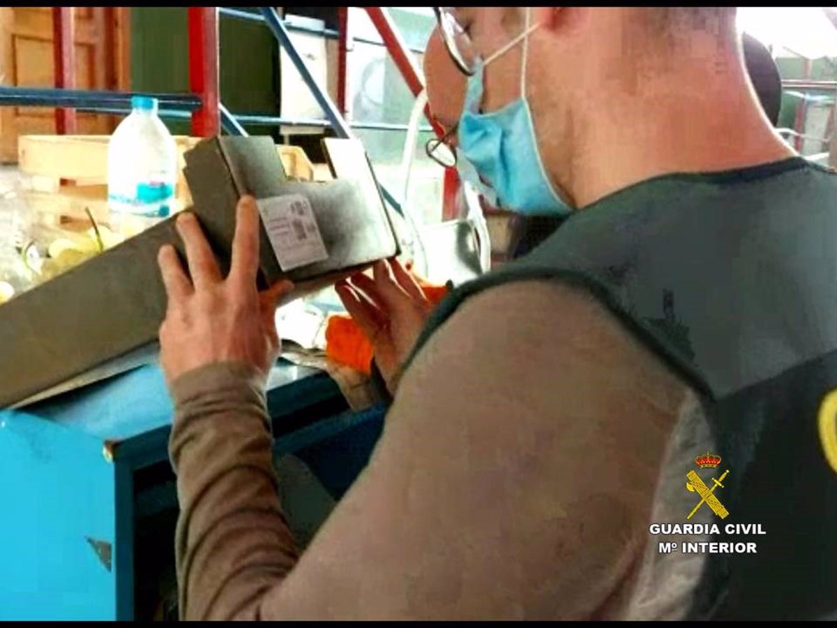 Nuestra Comunitat es la que más está creciendo en agricultura #ecológica, manejando un volumen de negocio muy importante.
La picaresca y el fraude también sobrevuelan nuestro sector.
⚠️🚨Recuerda: Si no está certificado, no es #ecológico⚠️🚨
caecv.com/la-colaboracio…