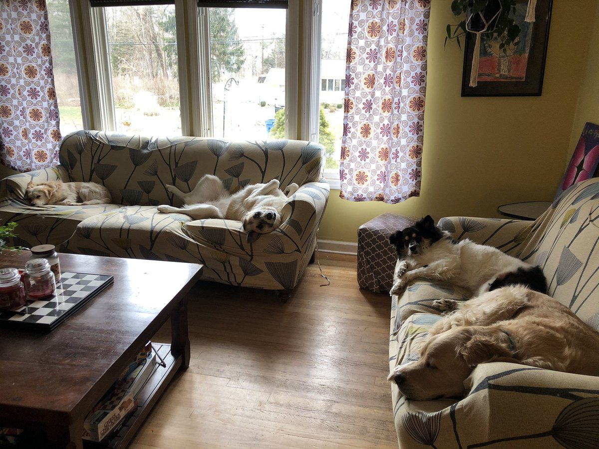 My co-teachers are lazy today.