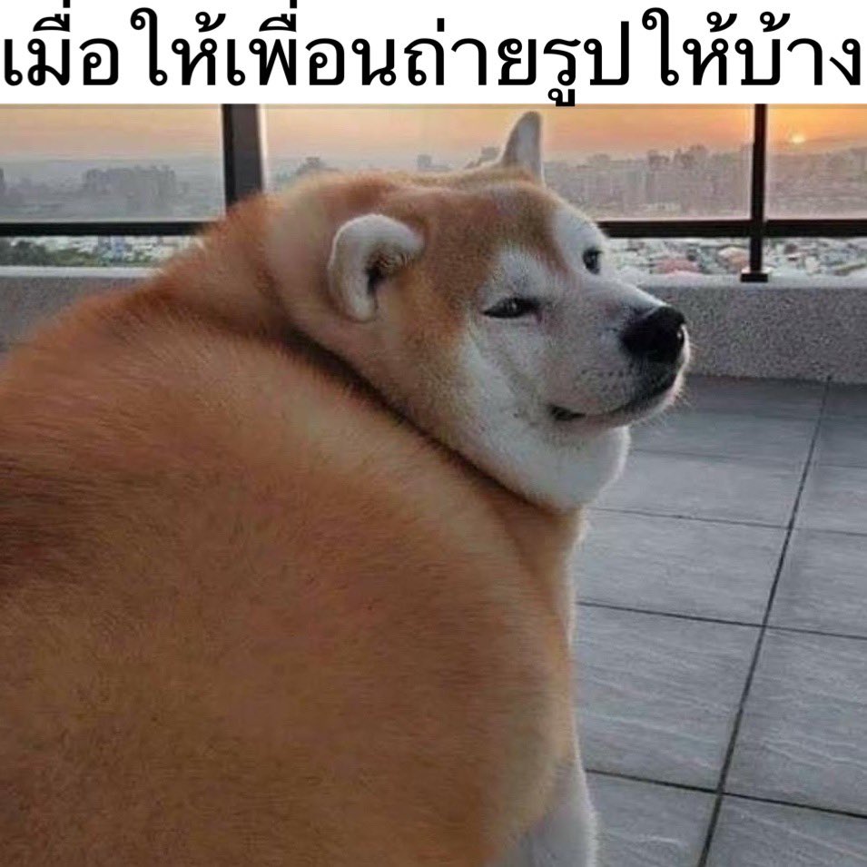 โอเคมึงถ่ายกูแล้วดูผอมมาก ตามนั้นเลย 55555555555555555555555555555555555555555