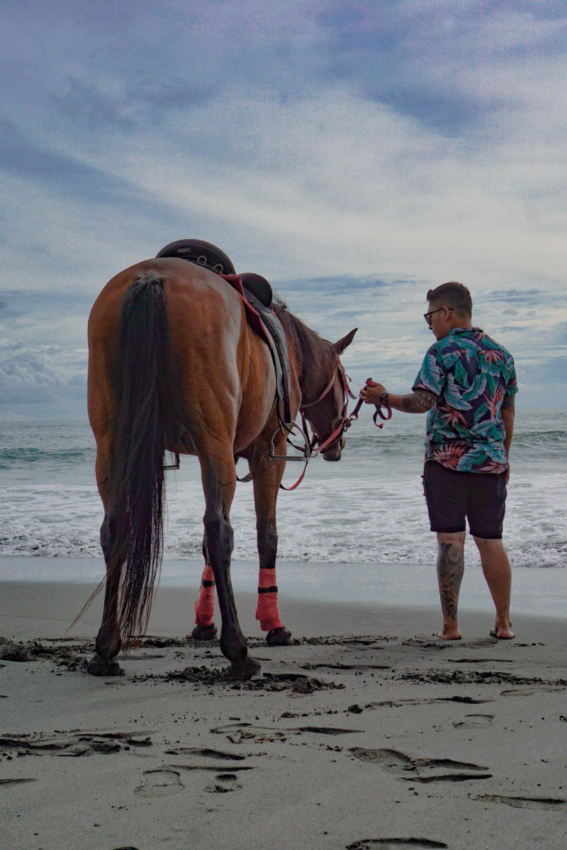 Kelvin24Youtube's tweet photo. when other people are busy talking about me, I am busy enjoying life.
#lockdown2021 #horselover #horse #fun #Beach #bali #Bali #kelvin24 #supportbali #Indonesia #travel #adventure #WonderfulIndonesia #traditional #PemersatuBangsa #beachlife #Asia #quotes https://t.co/wwfrj6quxv