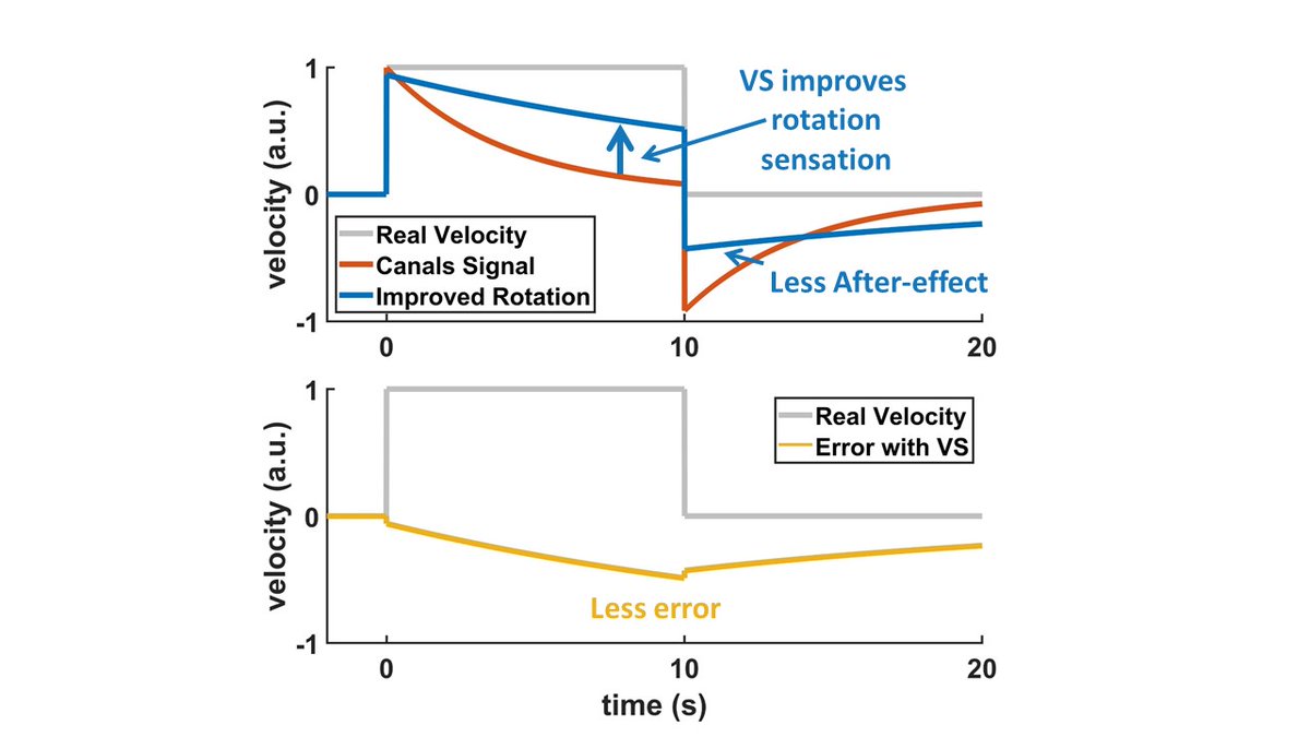 3/ The velocity storage (VS) is a central process that increases the time constant of rotation sensing to 10-30s (here 16s), thus reducing errors. Nice, but most natural rotations are short (<1s). So what is the use of the VS? How significant are canal error in real life?