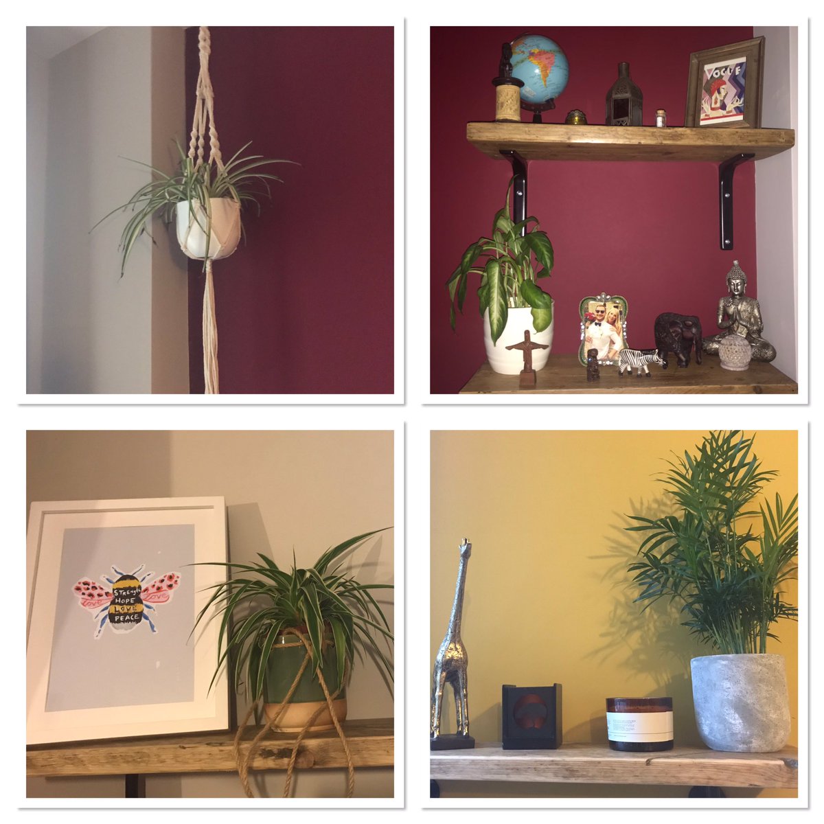 Happy #HouseplantWeekUK! I might only have a small flat but I am grateful for the space I do have and that I can have in it these lovely plants #gratefuleveryday #findsomethingtobethankfulfor #takenotice #5waystowellbeing