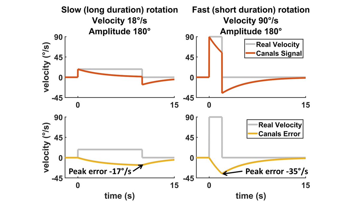 6/ For instance rotate 180°. You may rotate slowly, (10s at 18°/s). This is long and canals decrease to ~0, so peak error is 17°/s. But surprise: simulate a 5x faster rotation (90°/s for 2s). Absolute canal error increases to 35°/s!