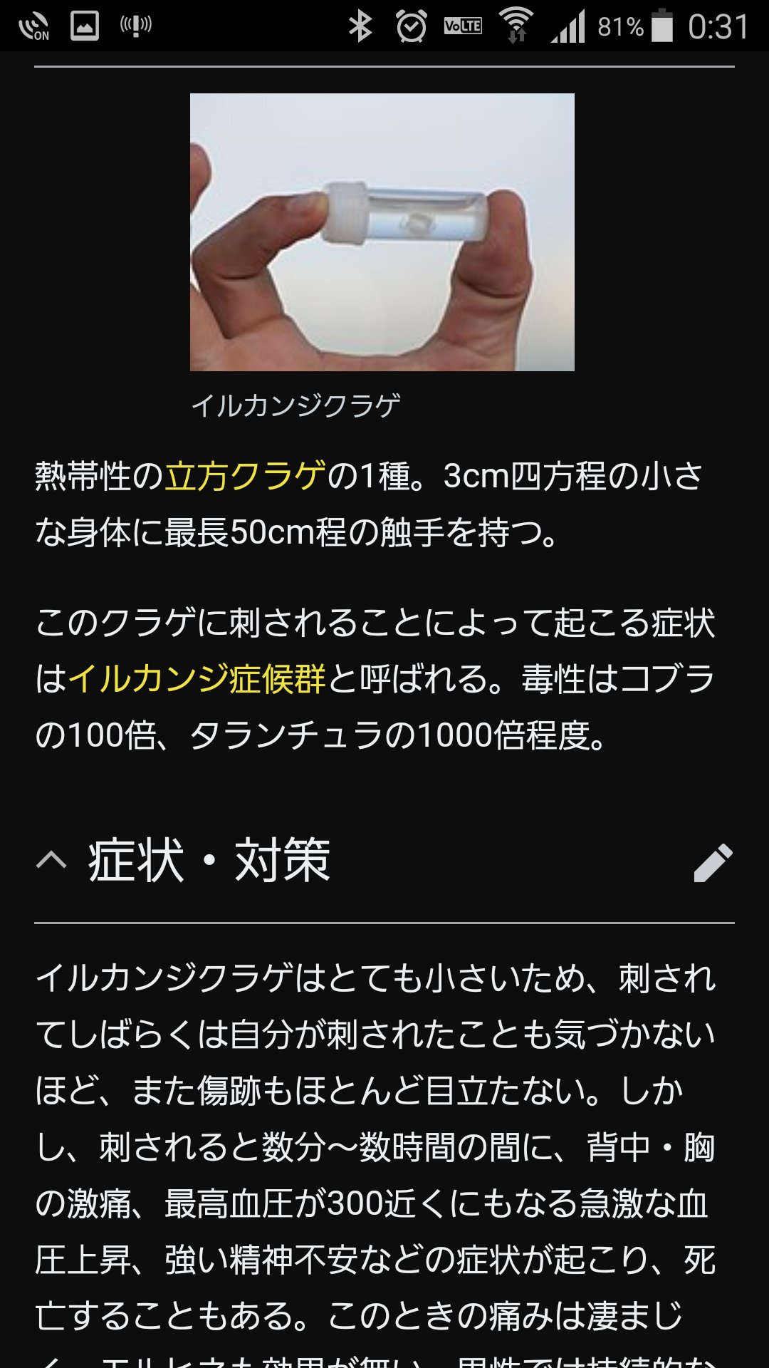 マユラギ マユラギ