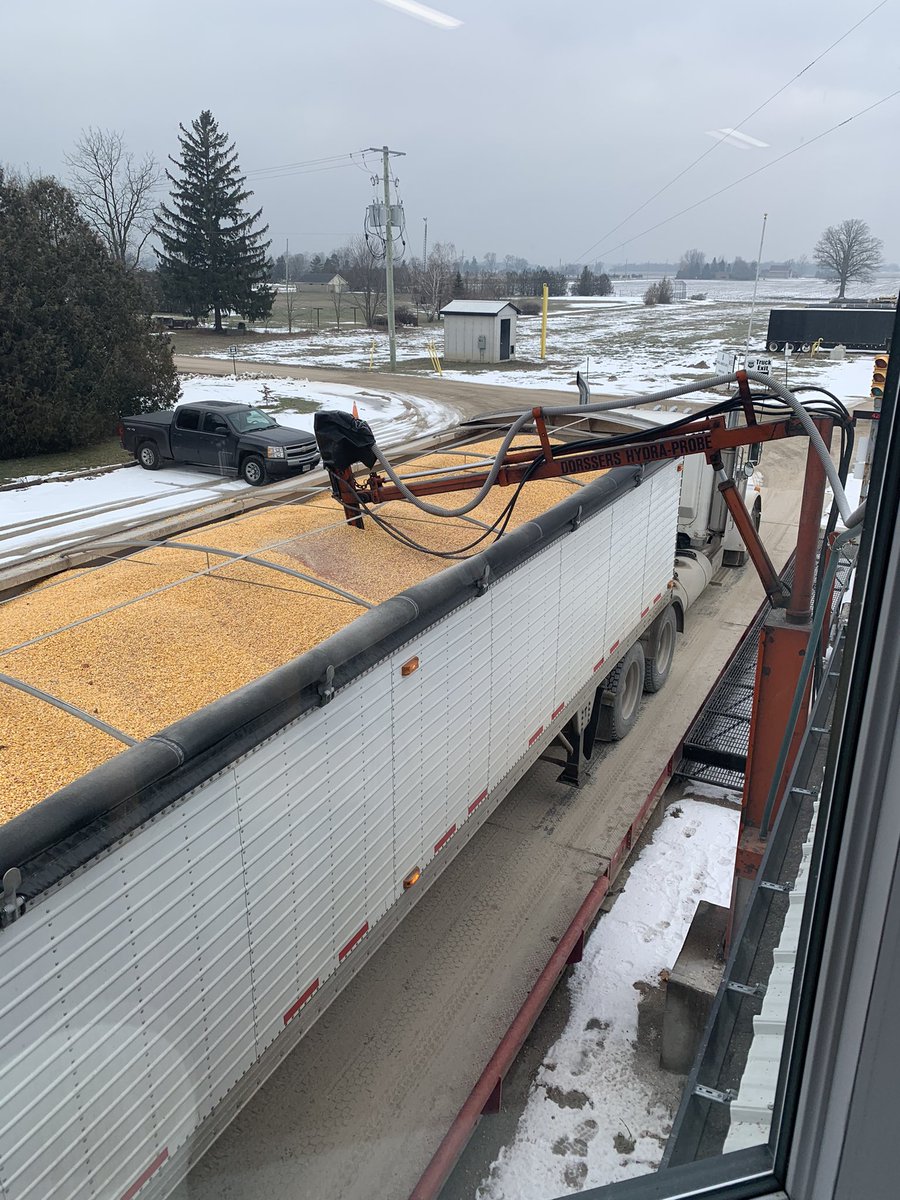 dspencer307's tweet photo. Still receiving #2020corn.  @ParrishHeimbeck #Kerwood https://t.co/CKEP1QtRAY
