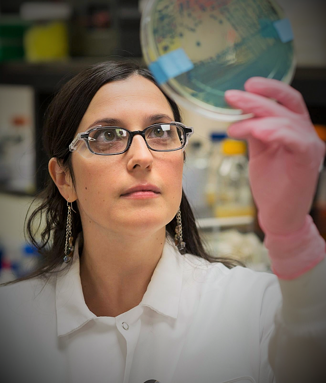 Massachusetts Life Sciences Center tweet media