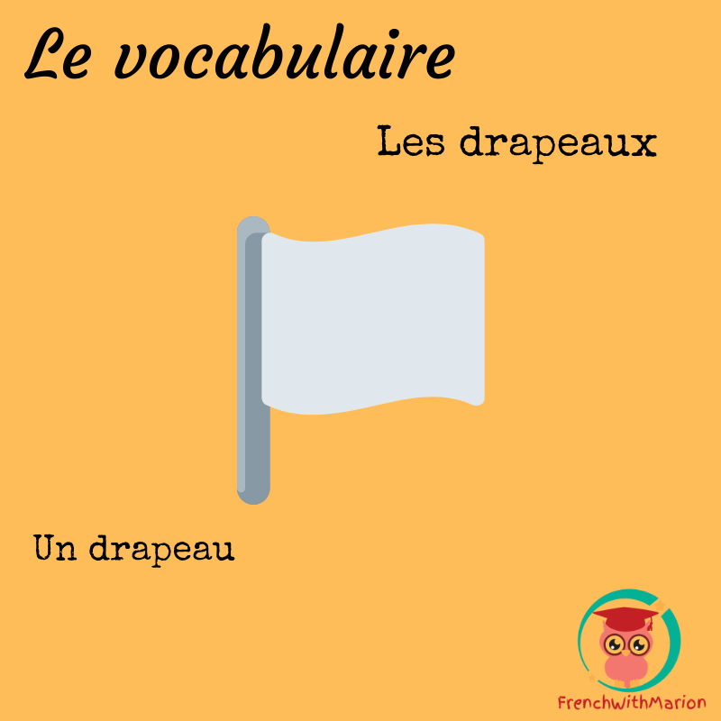 FrenchWthMarion's tweet photo. Commentez avec le/les drapeau(x) de votre/vos pays! Pour moi: 🇫🇷🇨🇦
#flag #vocabulary #learnfrench #tefaq https://t.co/A5qdOyhXQo