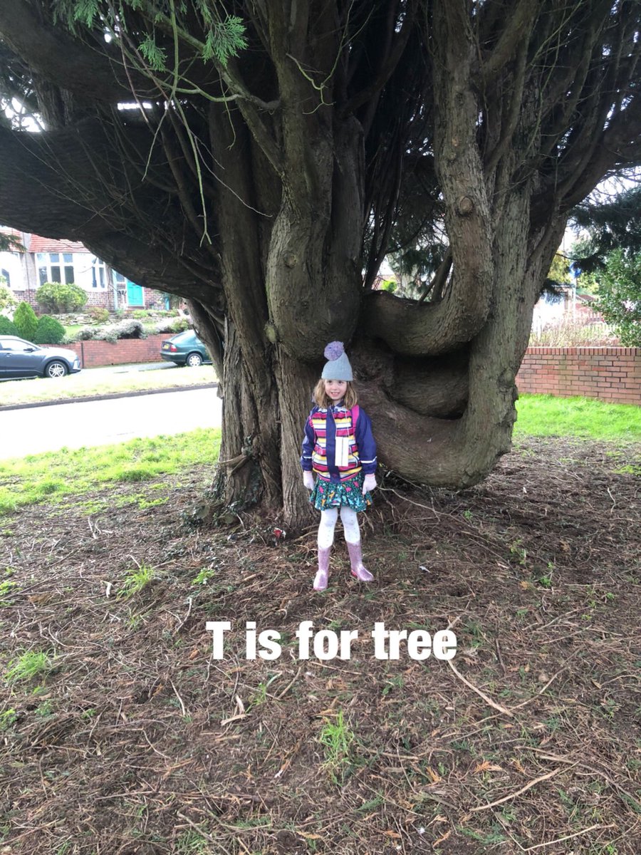 GUPSYear1 tweet media