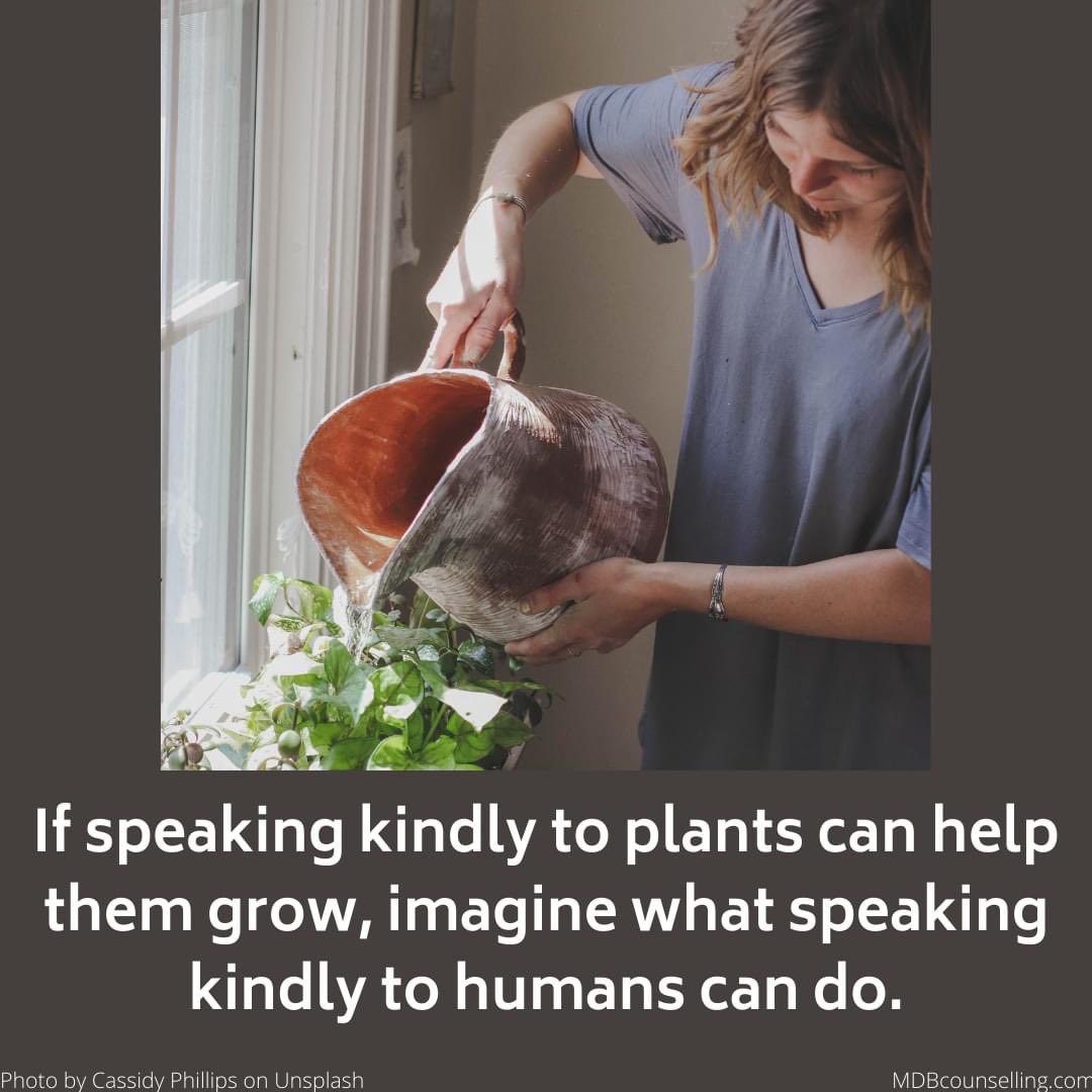 mdbcounselling's tweet photo. It is the beginning of #HouseplantWeekUK
They all need different amounts of light, water and nutrition and studies have shown that speaking kindly to them can also help them grow. Imagine that, what an impact our words have on plants, each other and ourselves.
#BeKindAlways https://t.co/a8g390q1zp