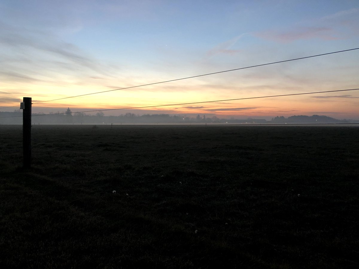 msu_kelloggfarm's tweet image. Another beautiful day at the office! #MSUKBS