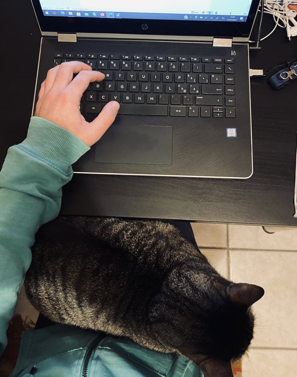 Philippdebs's tweet photo. #CatWorking https://t.co/WZDSlLsm1y