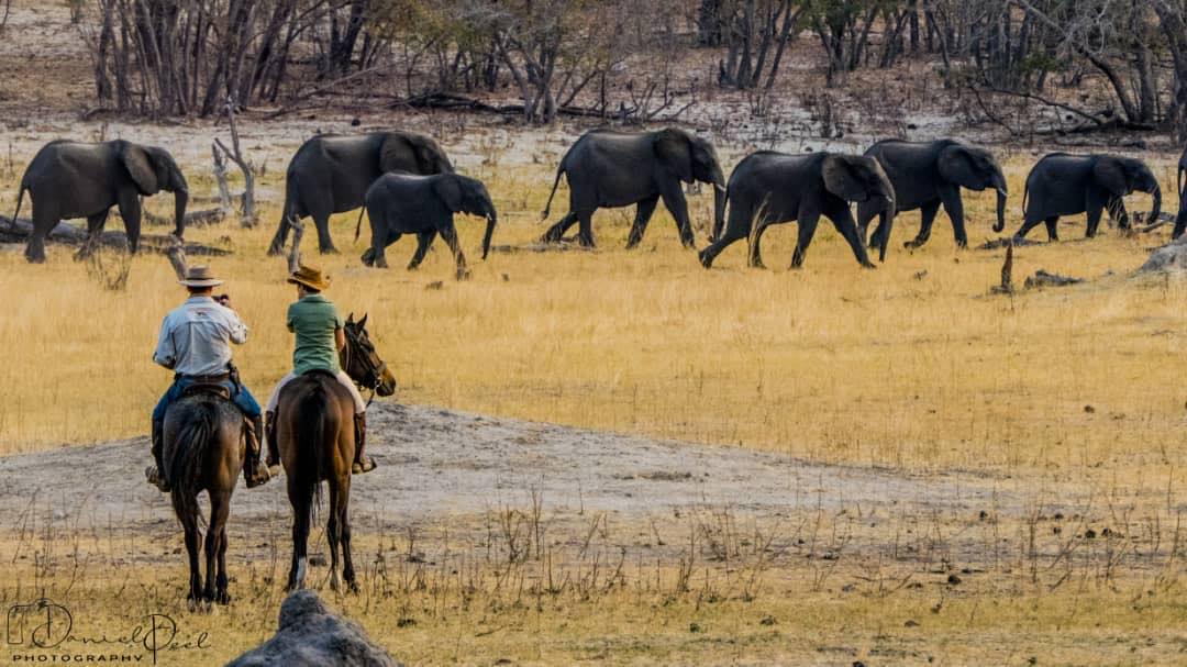 Victoria Falls Guide tweet media