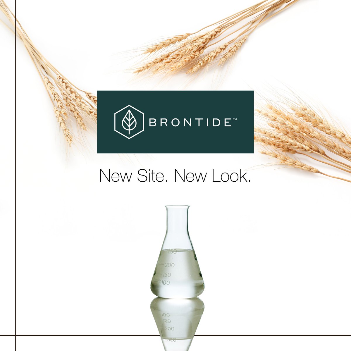 Brontidebg's tweet photo. New site, new look. Visit us! Are you excited about the intersection of beauty, sustainability &amp; biotechnology? Checkout Brontide™ butylene glycol newsletter &amp; subscribe https://t.co/3XHe7s2Ij8

#brontide #genomatica #butyleneglycol #Biotech  #sciencecommunication https://t.co/ZATXY1k56N