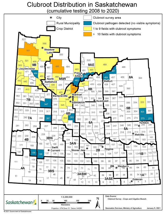 The #SaskAg #clubroot map has been updated with the 2020 survey results. This map is updated in partnership with @SaskCanola. It helps us better understand and prevent the spread of the disease in the province. Learn more about clubroot at: saskatchewan.ca/business/agric….
