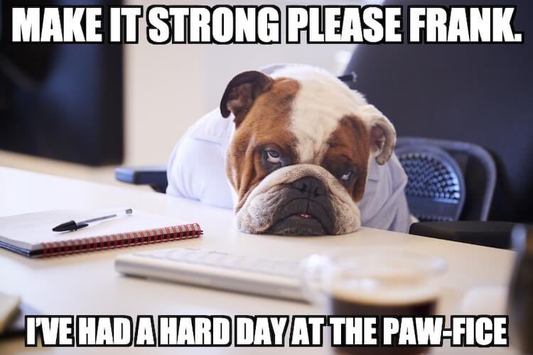 FurbudFoods's tweet photo. Happy Monday! #DogsofTwittter https://t.co/HQcmwBxXrm