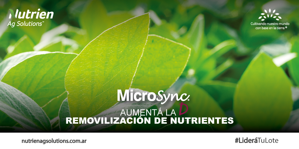 Con el respaldo de Loveland Products contamos con un exclusivo fertilizante foliar #MicrosyncD, que con la poderosa tecnología del Inositol permite mejorar la nutrición general del cultivo cuando hay deficiencia de más de un nutriente a la vez.
.
#NutrienAgSolutions #LideráTuLote