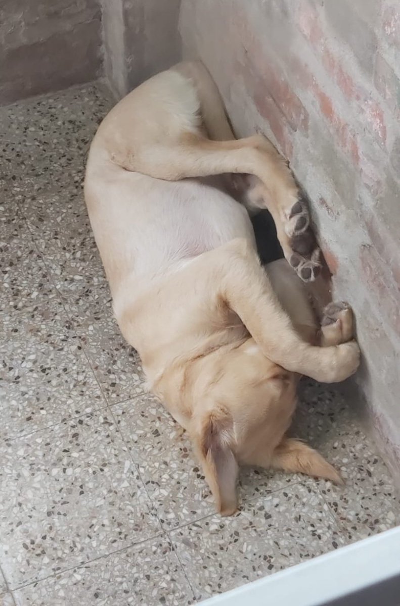pensan2fuerte's tweet photo. @RiverPlate_9 dormir derecha no pa qué https://t.co/iuqUXSiGxQ