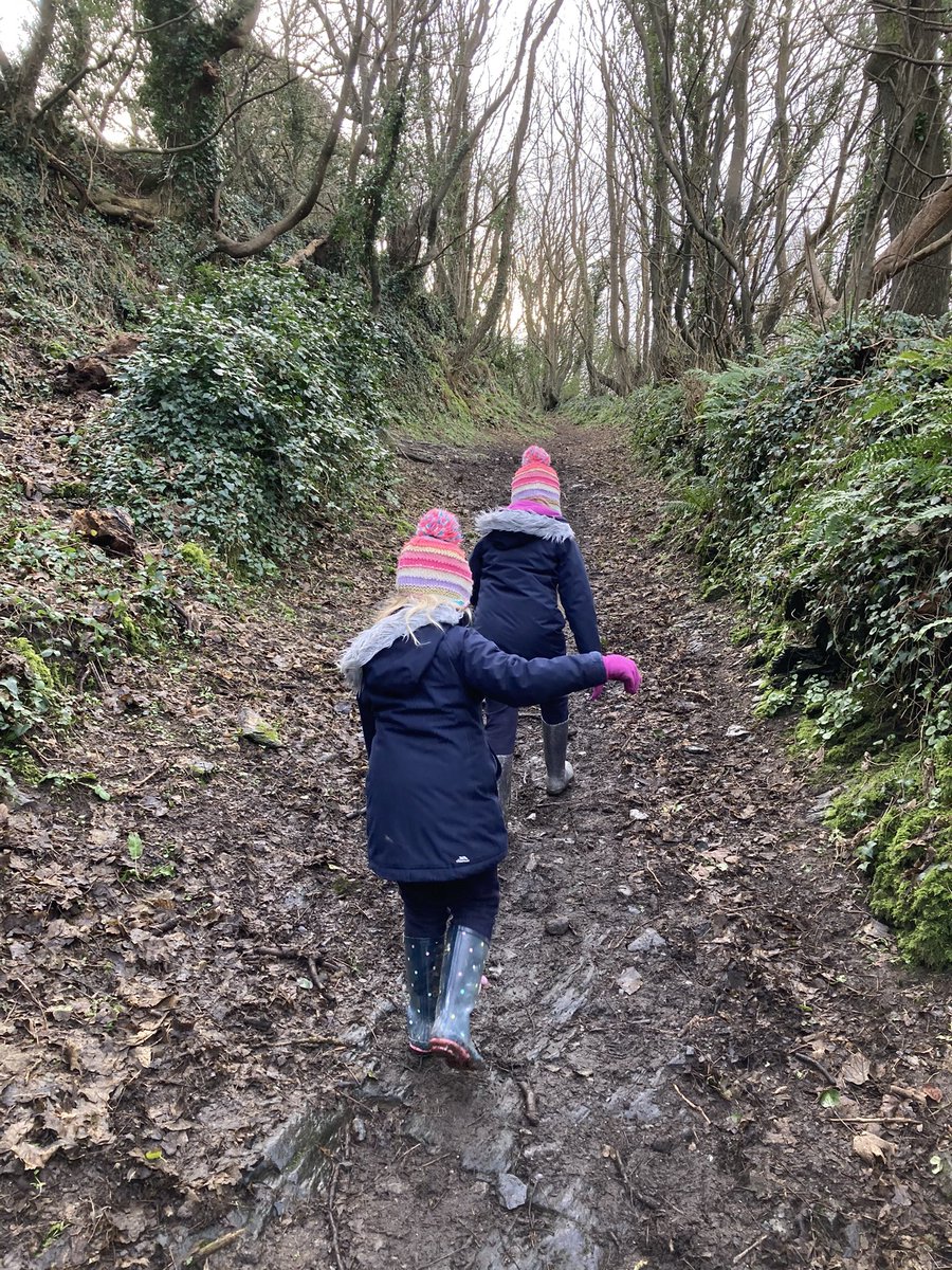 RebeccaLWills's tweet photo. Two minutes from our front door, and weโre in the woods! 10 minutes, and weโre overlooking #LoePool. #Lockdown3 #dailyexercise #homeschoolingdonefortheday #Cornwall https://t.co/o1jyEgjE9Z