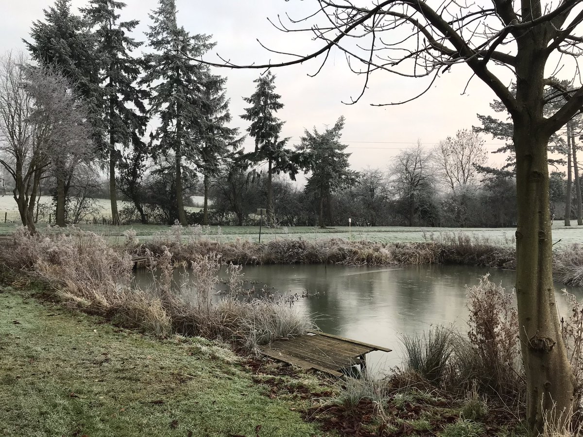 Frosty fishes #frozenlake #carpfishing #farmfishes