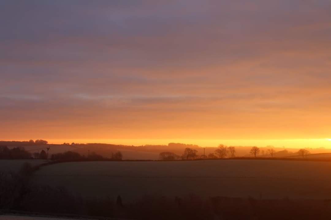 LeafPregnancy's tweet photo. @VisitDevon Just look at the colours! New day, new beginnings.
Hope this spreads a little happiness! https://t.co/LxiQfVPCXk