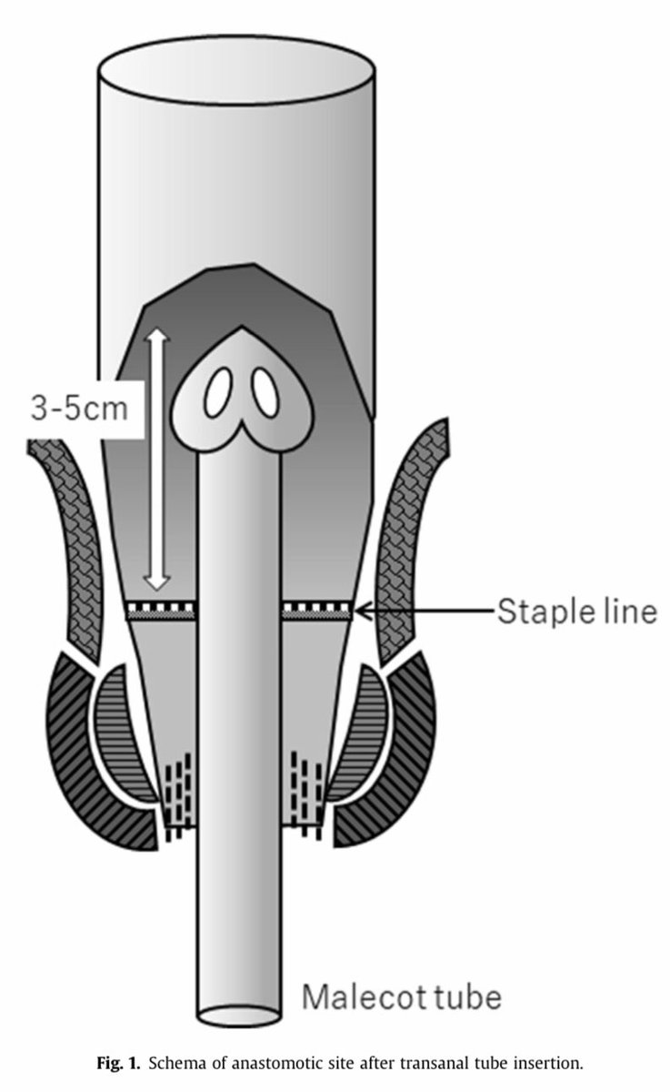 AmJSurgery tweet media