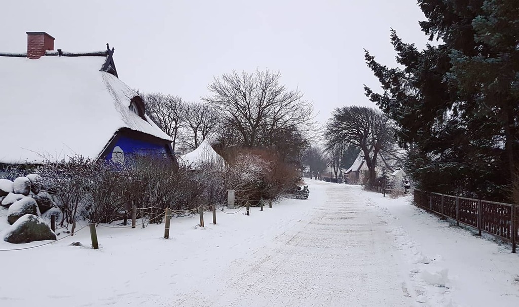 hiddenseeforum's tweet photo. Wann wird es mal wieder richtig Winter? So wie am 11. Januar 2017 zum Beispiel ❄❄
#hiddensee #inselliebe #winter #winterwonderland #wirsindinsel #wetterfotografie #winterlove #winterruhe #winter2017 #winterwonderland❄️ #hiddenseeforum https://t.co/QghZlhSaTx https://t.co/UDChYnHAnW